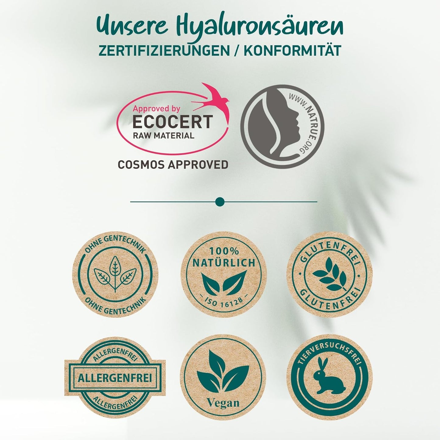 Bio Hyaluron Serum Hochdosiert - Beste Hyaluronsäure (Oligo) - 8-Fach Anti-Falten-Komplex- Mit 4 Hyalurongrößen - Frei Von Alkohol & Parfüm 100Ml - Hyaluronsäure Serum Made in Germany