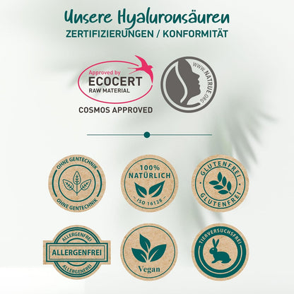 Bio Hyaluron Serum Hochdosiert - Beste Hyaluronsäure (Oligo) - 8-Fach Anti-Falten-Komplex- Mit 4 Hyalurongrößen - Frei Von Alkohol & Parfüm 100Ml - Hyaluronsäure Serum Made in Germany