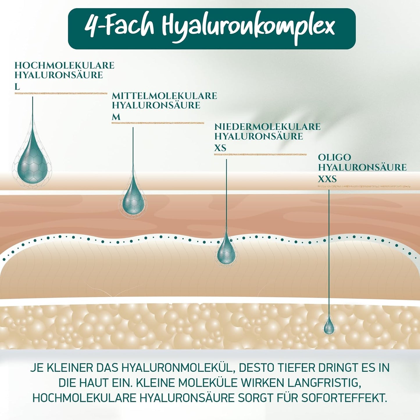 Bio Hyaluron Serum Hochdosiert - Beste Hyaluronsäure (Oligo) - 8-Fach Anti-Falten-Komplex- Mit 4 Hyalurongrößen - Frei Von Alkohol & Parfüm 100Ml - Hyaluronsäure Serum Made in Germany