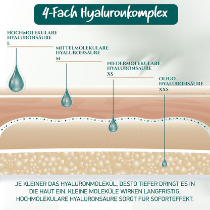 Bio Hyaluron Serum Hochdosiert - Beste Hyaluronsäure (Oligo) - 8-Fach Anti-Falten-Komplex- Mit 4 Hyalurongrößen - Frei Von Alkohol & Parfüm 100Ml - Hyaluronsäure Serum Made in Germany